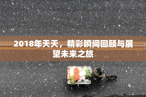 2018年天天，精彩瞬间回顾与展望未来之旅