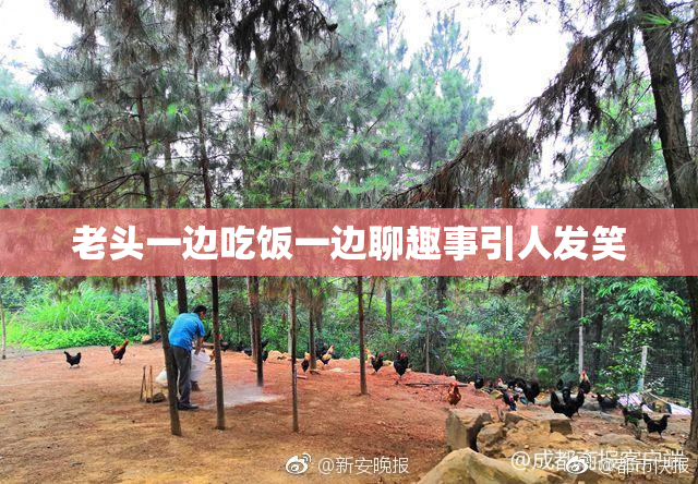 老头一边吃饭一边聊趣事引人发笑