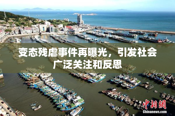 变态残虐事件再曝光，引发社会广泛关注和反思