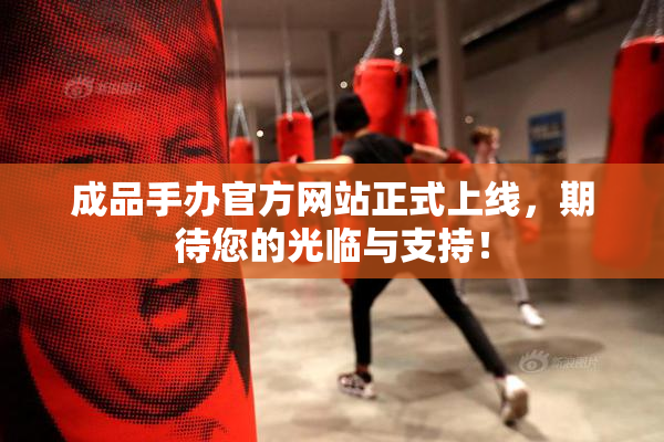 成品手办官方网站正式上线，期待您的光临与支持！