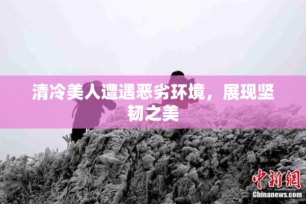 清冷美人遭遇恶劣环境，展现坚韧之美
