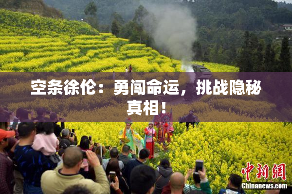空条徐伦：勇闯命运，挑战隐秘真相！