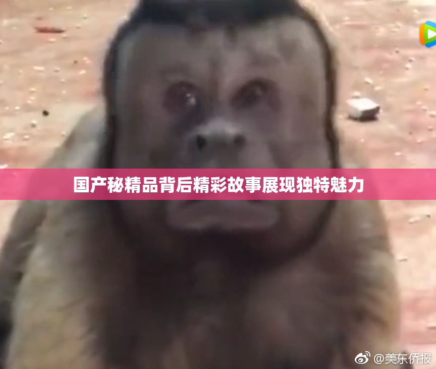 国产秘精品背后精彩故事展现独特魅力
