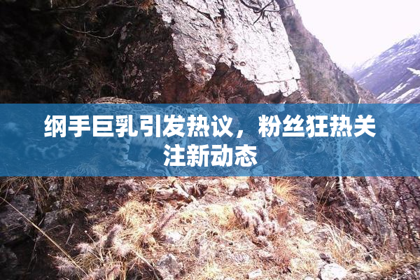 纲手巨乳引发热议，粉丝狂热关注新动态