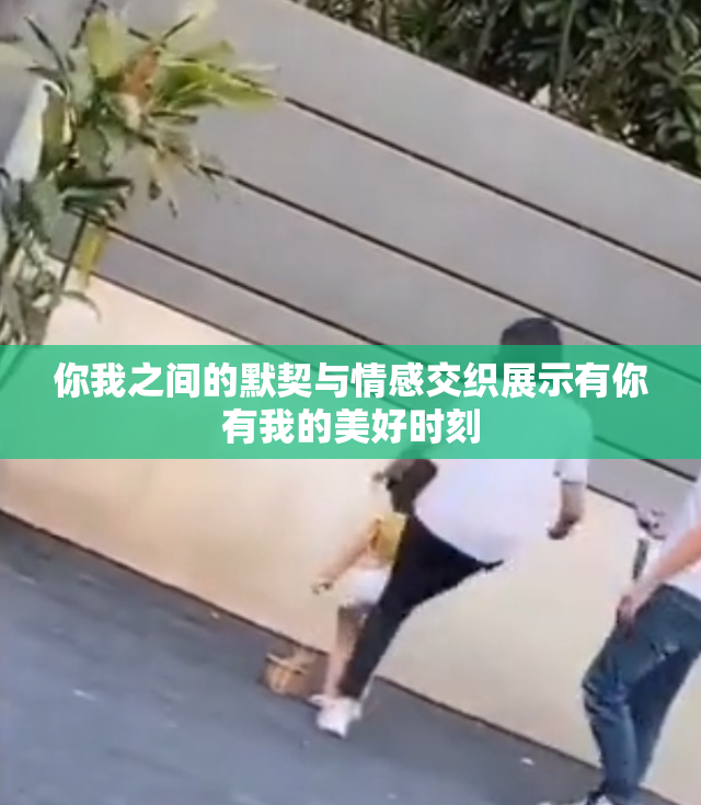 你我之间的默契与情感交织展示有你有我的美好时刻