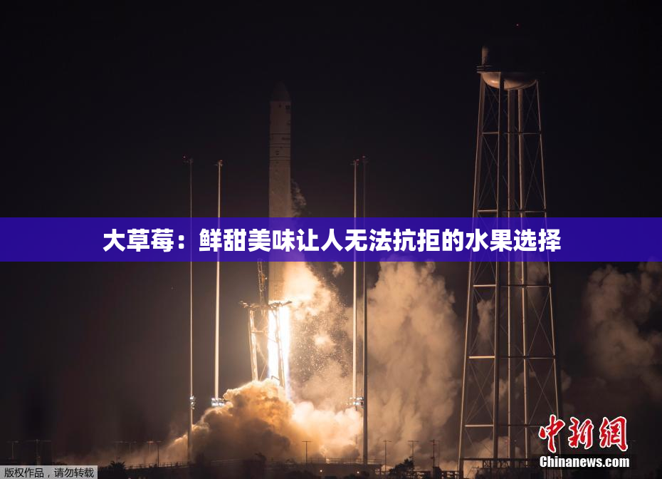 大草莓：鲜甜美味让人无法抗拒的水果选择