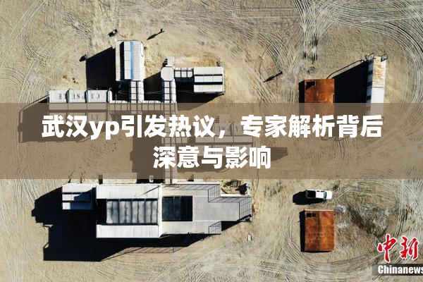 武汉yp引发热议，专家解析背后深意与影响