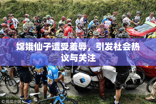 嫦娥仙子遭受羞辱，引发社会热议与关注