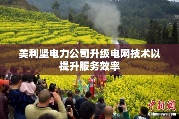美利坚电力公司升级电网技术以提升服务效率