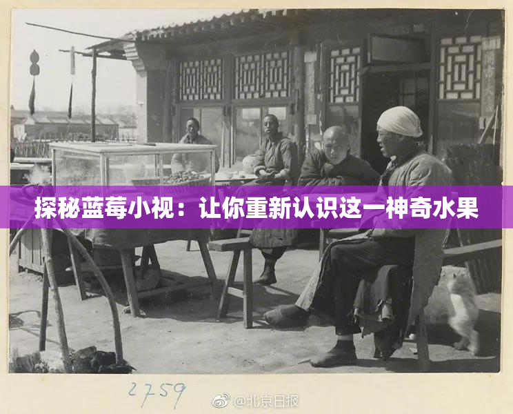 探秘蓝莓小视：让你重新认识这一神奇水果