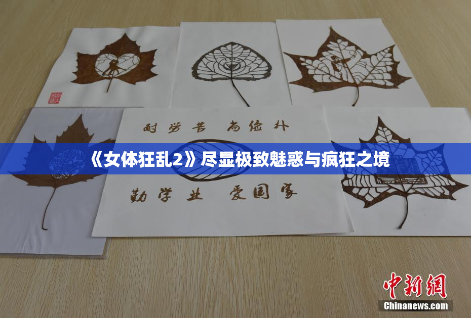 《女体狂乱2》尽显极致魅惑与疯狂之境