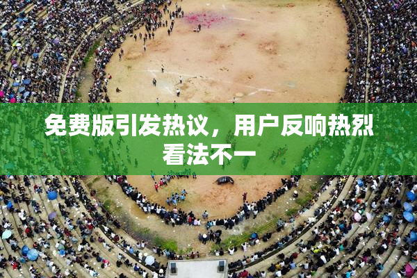 免费版引发热议，用户反响热烈看法不一