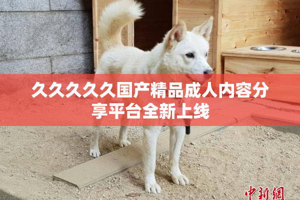 久久久久久国产精品成人内容分享平台全新上线