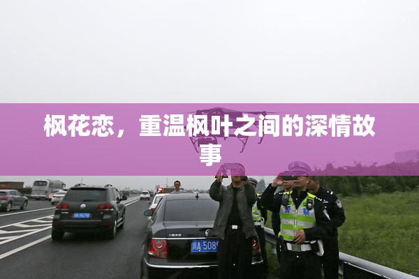 枫花恋，重温枫叶之间的深情故事