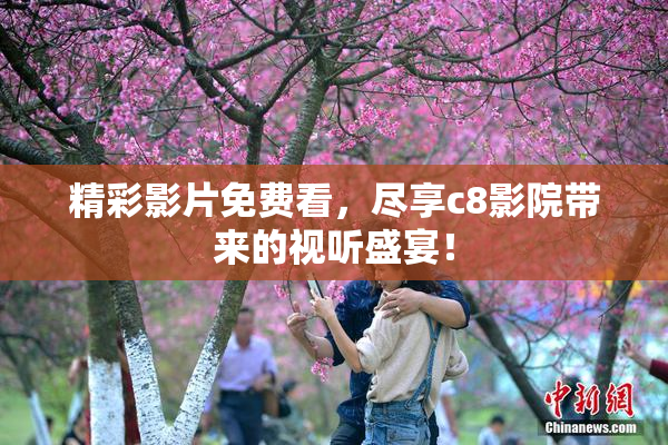 精彩影片免费看，尽享c8影院带来的视听盛宴！
