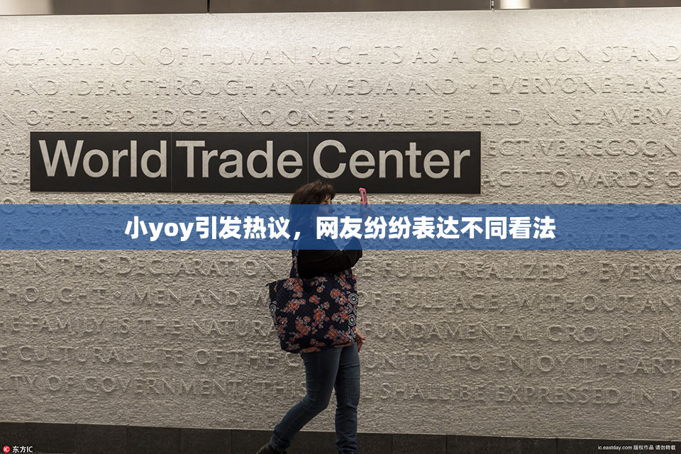 小yoy引发热议，网友纷纷表达不同看法
