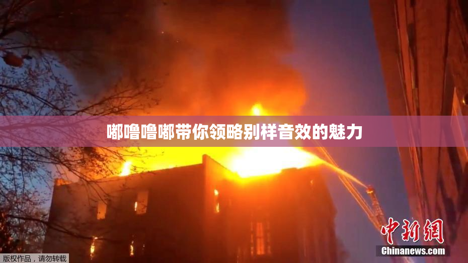 嘟噜噜嘟带你领略别样音效的魅力