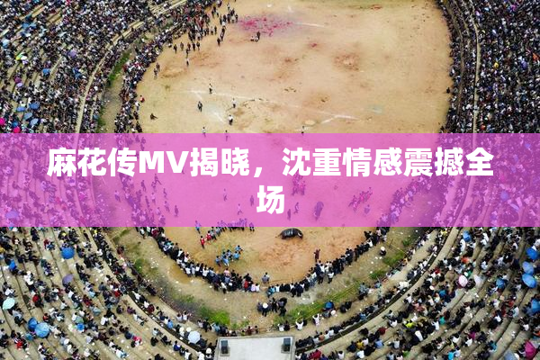 麻花传MV揭晓，沈重情感震撼全场