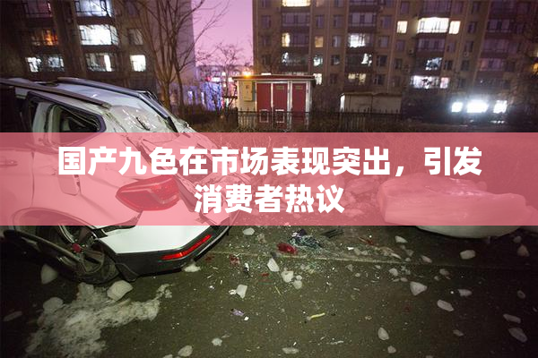 国产九色在市场表现突出，引发消费者热议