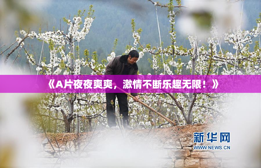 《A片夜夜爽爽，激情不断乐趣无限！》
