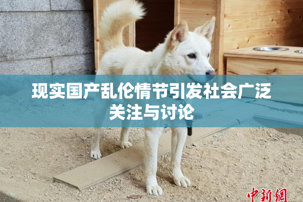 现实国产乱伦情节引发社会广泛关注与讨论
