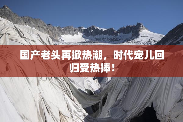 国产老头再掀热潮，时代宠儿回归受热捧！