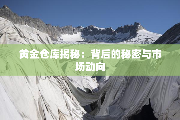 黄金仓库揭秘：背后的秘密与市场动向