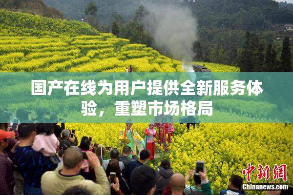 国产在线为用户提供全新服务体验，重塑市场格局