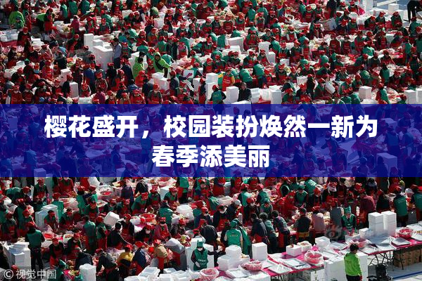 樱花盛开，校园装扮焕然一新为春季添美丽