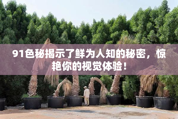 91色秘揭示了鲜为人知的秘密，惊艳你的视觉体验！