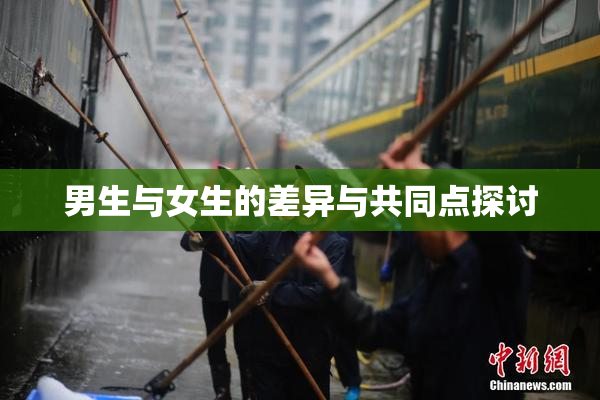 男生与女生的差异与共同点探讨