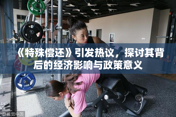《特殊偿还》引发热议，探讨其背后的经济影响与政策意义