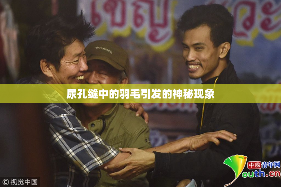 尿孔缝中的羽毛引发的神秘现象