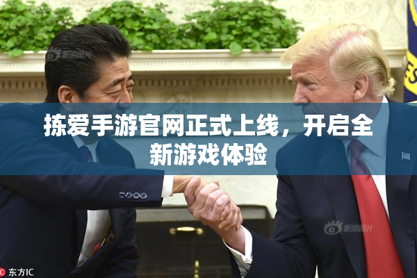 拣爱手游官网正式上线，开启全新游戏体验