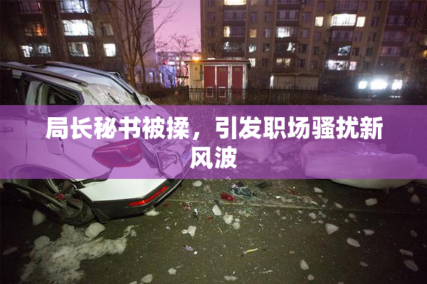 局长秘书被揉，引发职场骚扰新风波