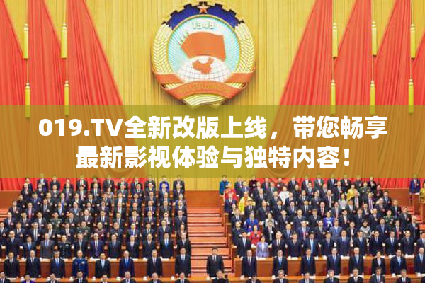 019.TV全新改版上线，带您畅享最新影视体验与独特内容！