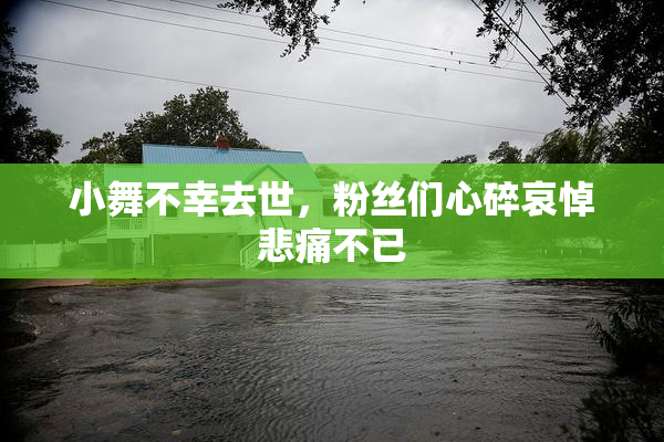 小舞不幸去世，粉丝们心碎哀悼悲痛不已