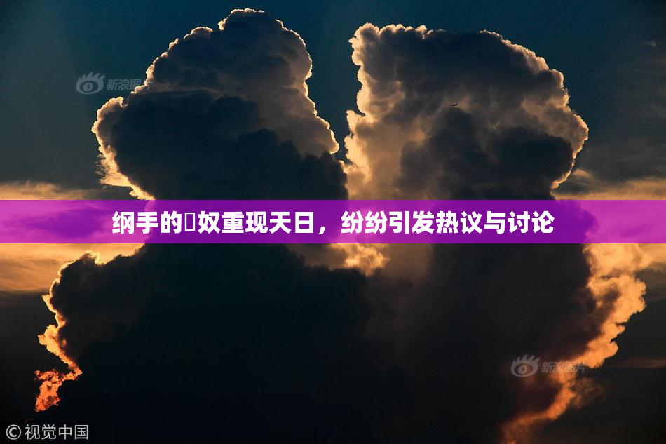 纲手的婬奴重现天日，纷纷引发热议与讨论