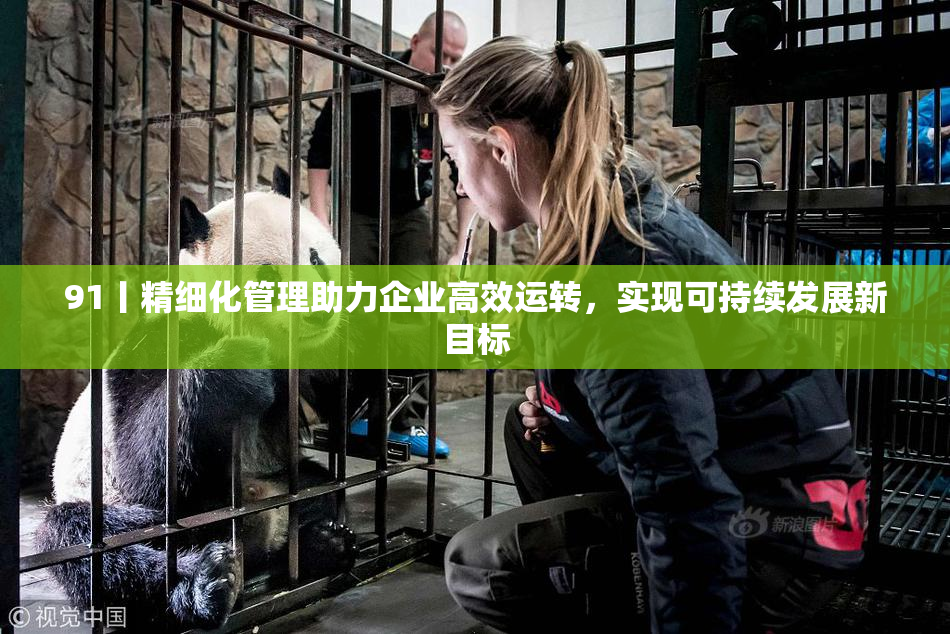 91丨精细化管理助力企业高效运转，实现可持续发展新目标