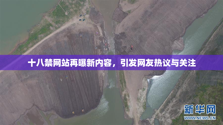 十八禁网站再曝新内容，引发网友热议与关注