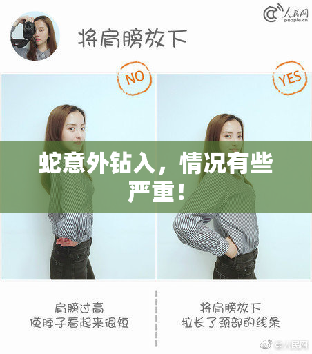 蛇意外钻入，情况有些严重！