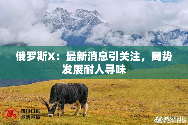 俄罗斯X：最新消息引关注，局势发展耐人寻味