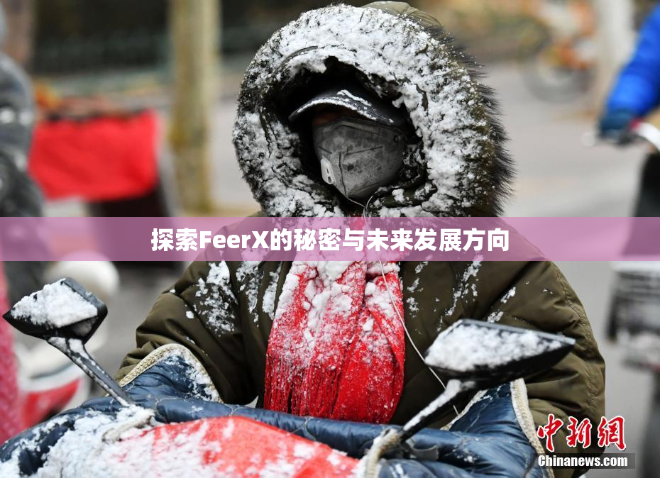 探索FeerX的秘密与未来发展方向