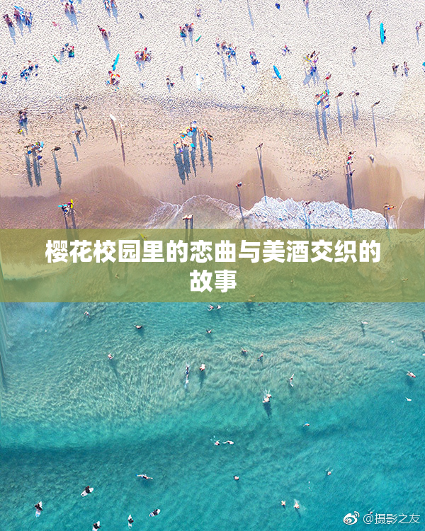 樱花校园里的恋曲与美酒交织的故事