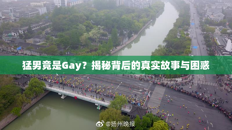 猛男竟是Gay？揭秘背后的真实故事与困惑