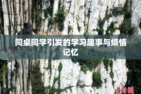 同桌同学引发的学习趣事与烦恼记忆