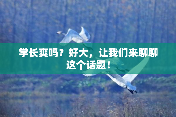 学长爽吗？好大，让我们来聊聊这个话题！