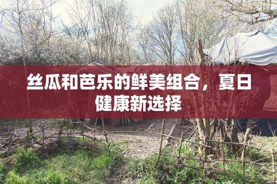 丝瓜和芭乐的鲜美组合，夏日健康新选择