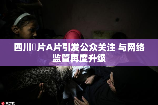 四川婬片A片引发公众关注 与网络监管再度升级