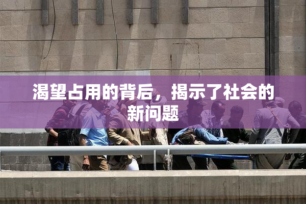 渴望占用的背后，揭示了社会的新问题